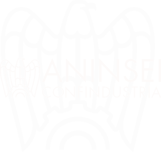 ANINSEI logo